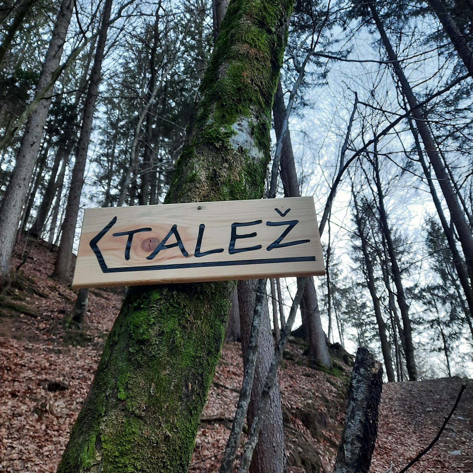Koca V Gozdu, Forest House Near Bled Eksteriør billede