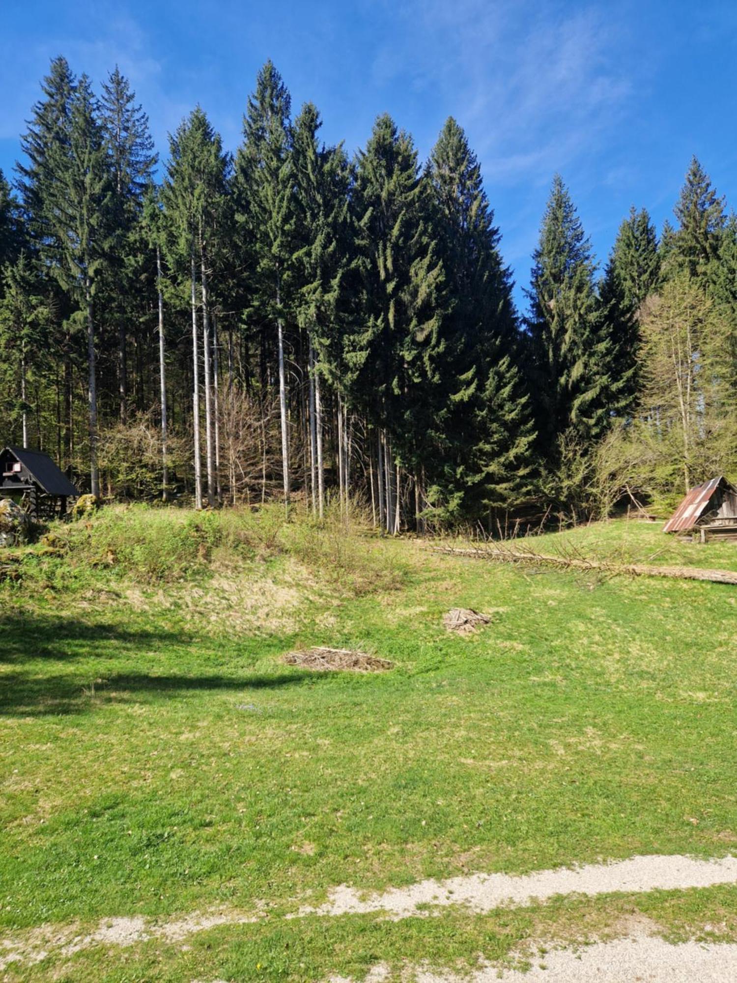 Koca V Gozdu, Forest House Near Bled Eksteriør billede