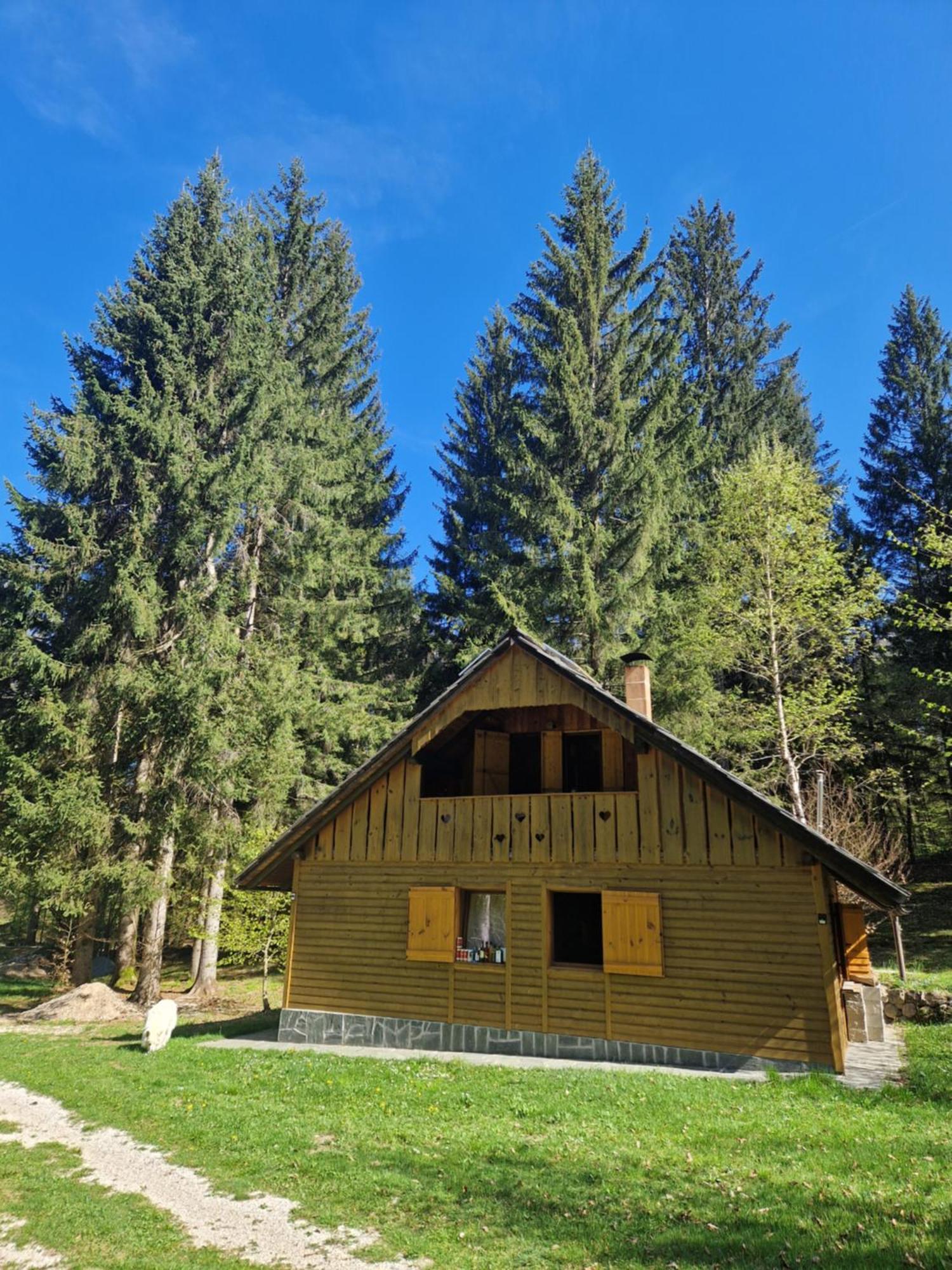 Koca V Gozdu, Forest House Near Bled Eksteriør billede