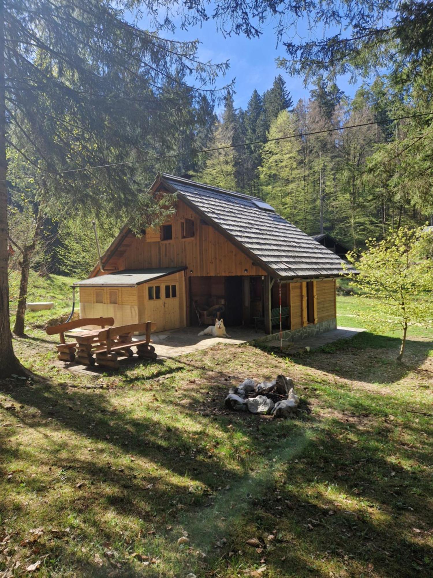 Koca V Gozdu, Forest House Near Bled Eksteriør billede