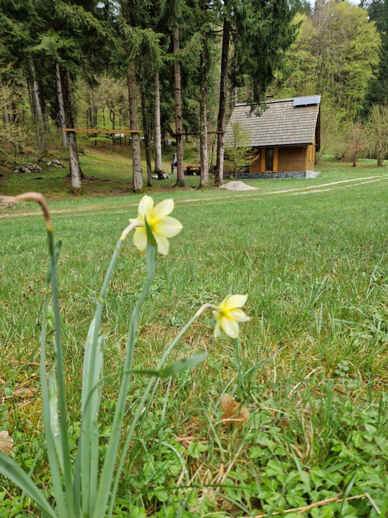Koca V Gozdu, Forest House Near Bled Værelse billede