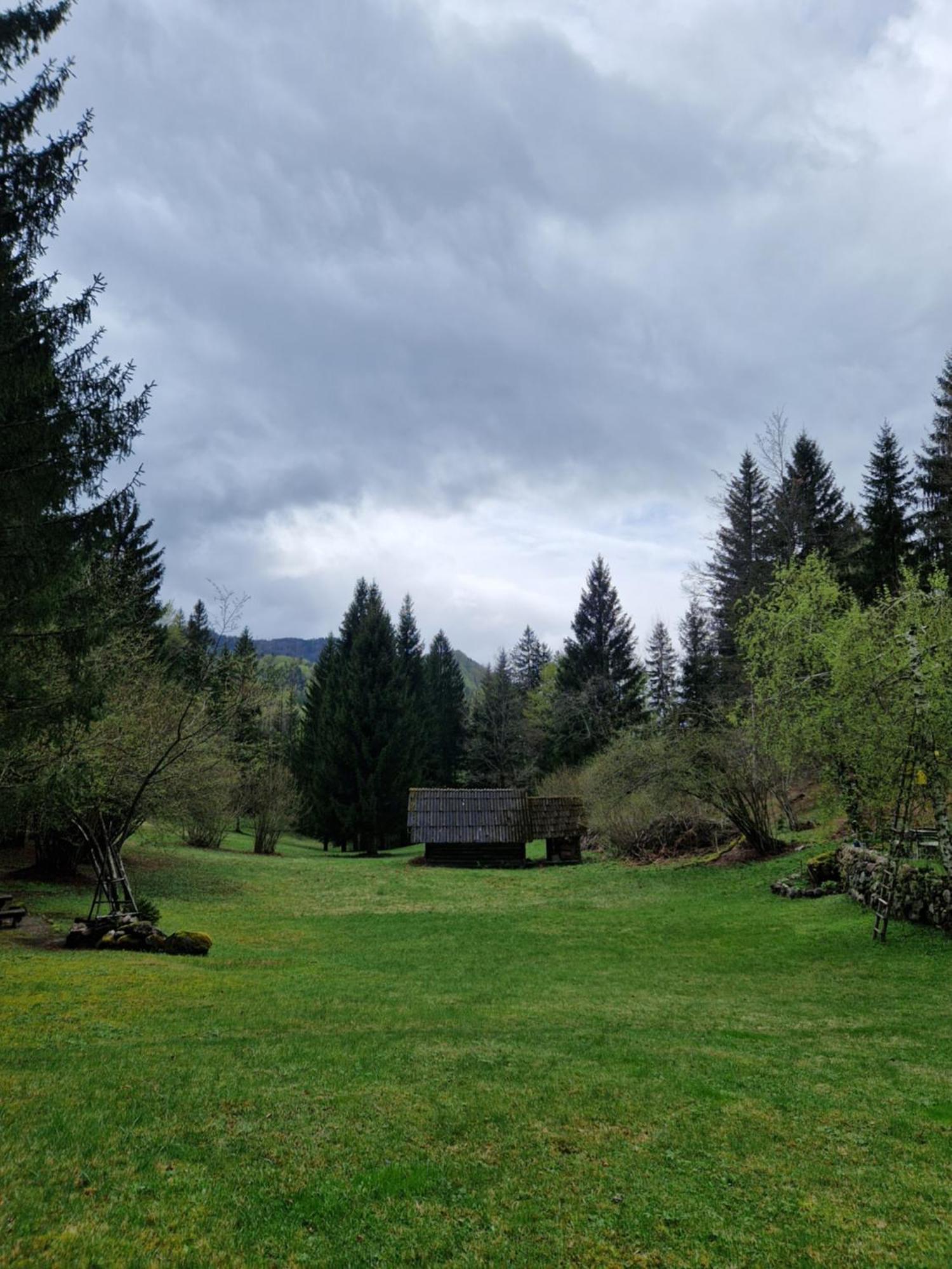 Koca V Gozdu, Forest House Near Bled Værelse billede
